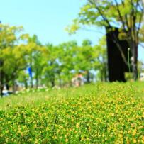 紫外線対策はいつから？日焼け止めの塗り方＆日焼け後のケア方法